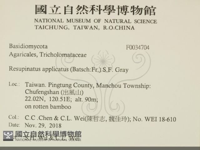 登錄號:F0034704藏品圖，第2張