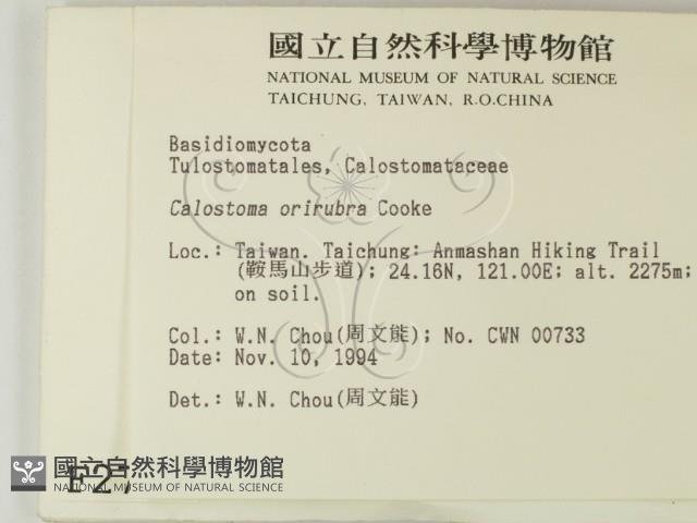 登錄號:F0002704藏品圖，第2張