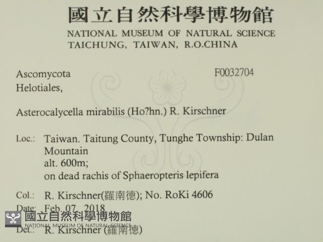 登錄號:F0032704藏品圖，第2張