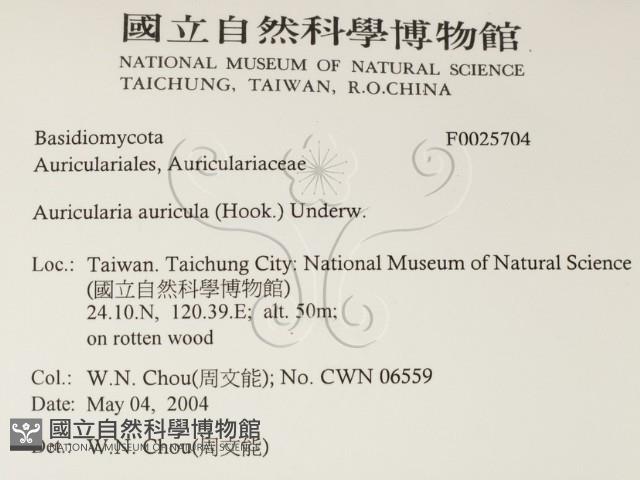 登錄號:F0025704藏品圖，第2張