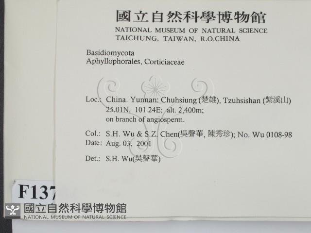 登錄號:F0013704藏品圖，第2張