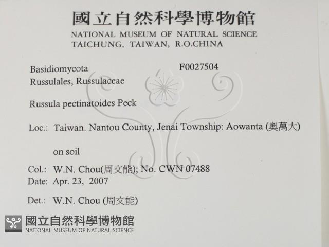 登錄號:F0027504藏品圖，第2張