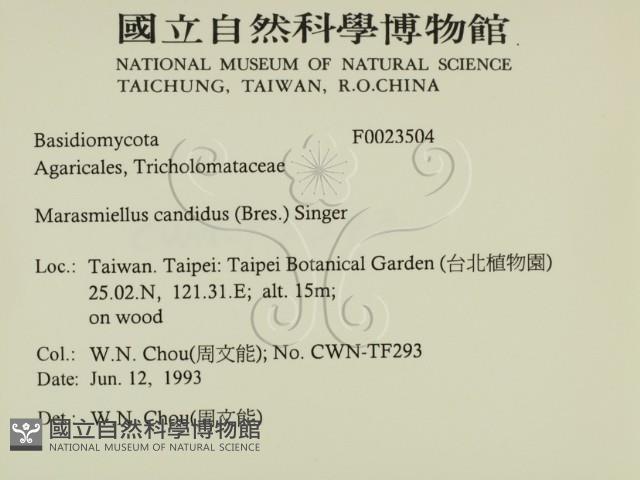 登錄號:F0023504藏品圖，第2張