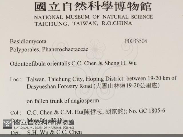 登錄號:F0033504藏品圖，第2張