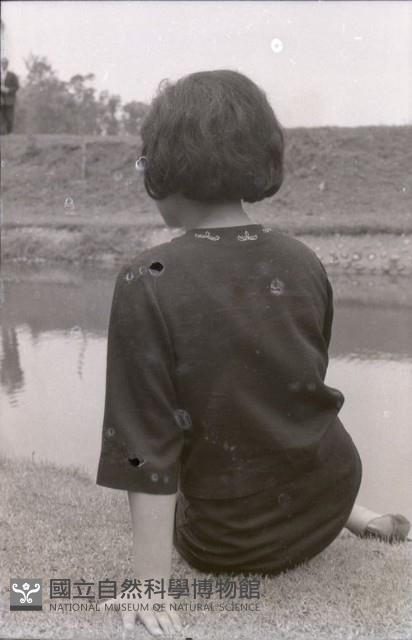 1950至2006年臺灣常民生活藏品圖，第1張