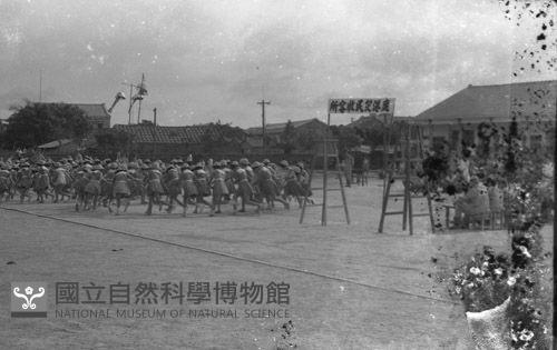 1950至2006年臺灣常民生活藏品圖，第1張