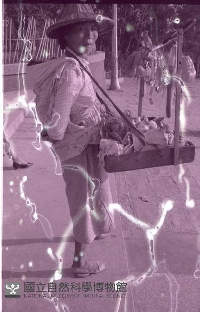 1950至2006年臺灣常民生活藏品圖，第1張