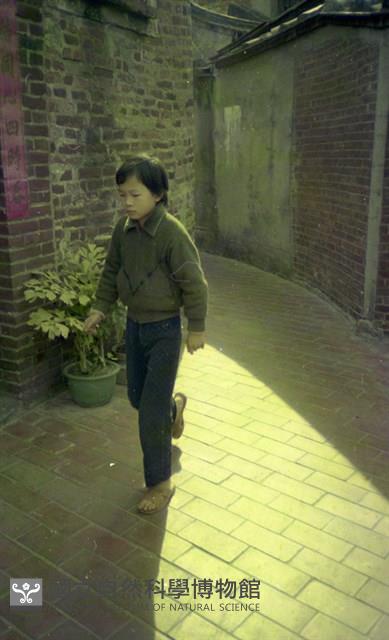 1950至2006年臺灣常民生活藏品圖，第1張
