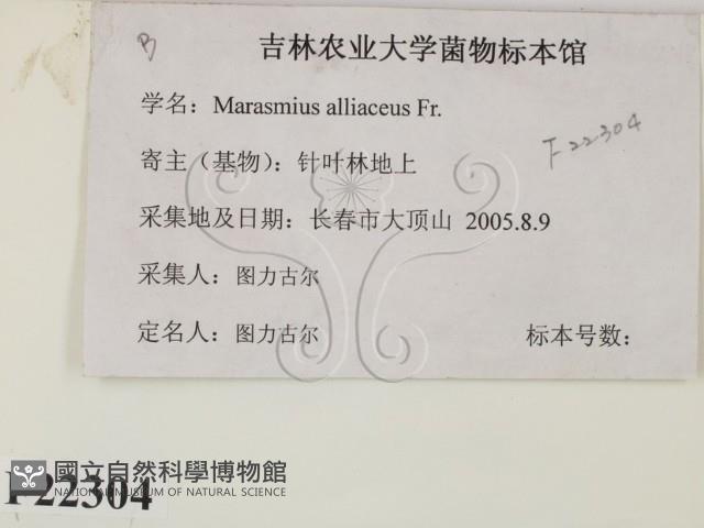 登錄號:F0022304藏品圖，第2張