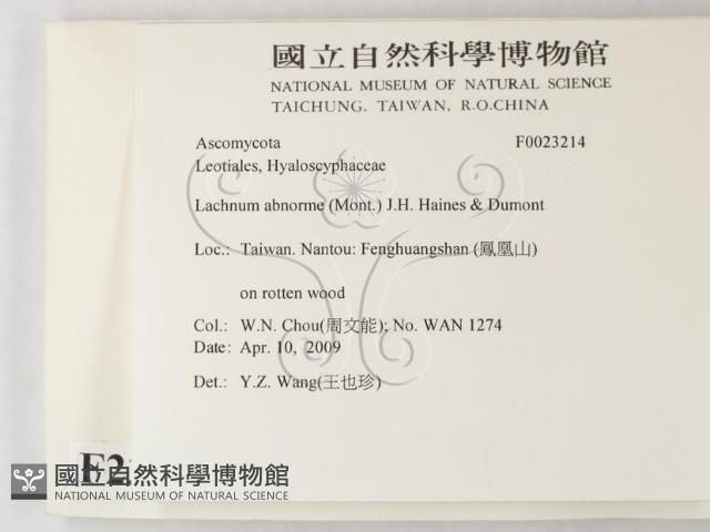 登錄號:F0023214藏品圖，第2張