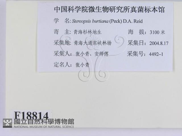 登錄號:F0018814藏品圖，第2張