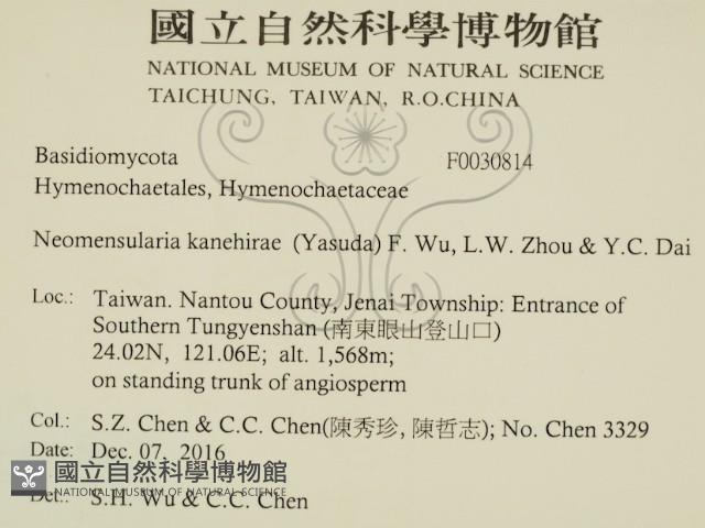 登錄號:F0030814藏品圖，第2張