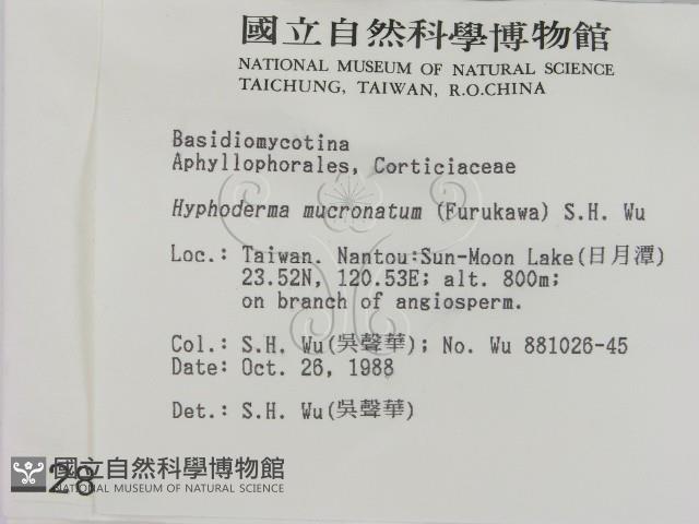 登錄號:F0002814藏品圖，第2張