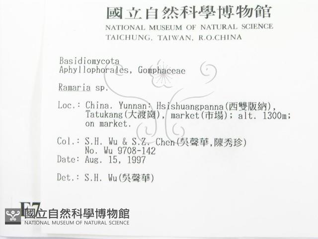 登錄號:F0007814藏品圖，第2張