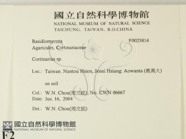 登錄號:F0025814藏品圖，第2張