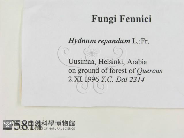 登錄號:F0005814藏品圖，第2張