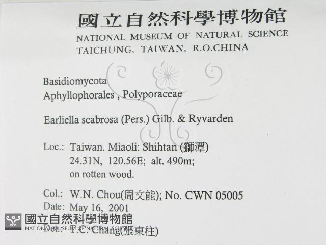 登錄號:F0015814藏品圖，第2張