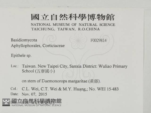 登錄號:F0029814藏品圖，第2張