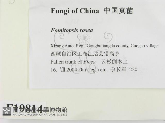 登錄號:F0019814藏品圖，第2張