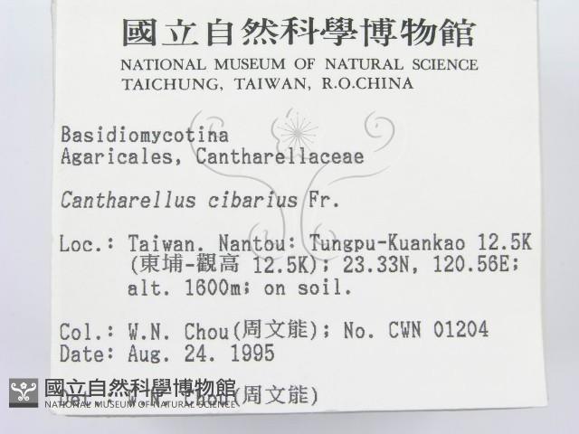登錄號:F0003814藏品圖，第2張