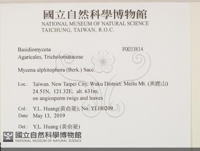 登錄號:F0033814藏品圖，第2張