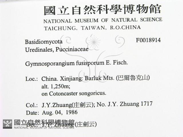 登錄號:F0018914藏品圖，第2張