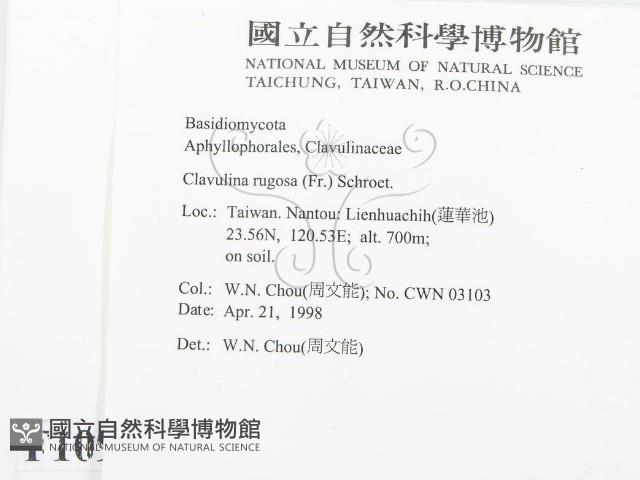 登錄號:F0010914藏品圖，第2張