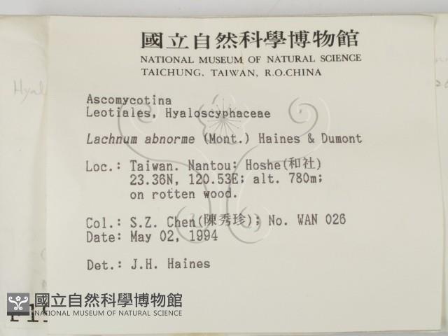 登錄號:F0001914藏品圖，第2張