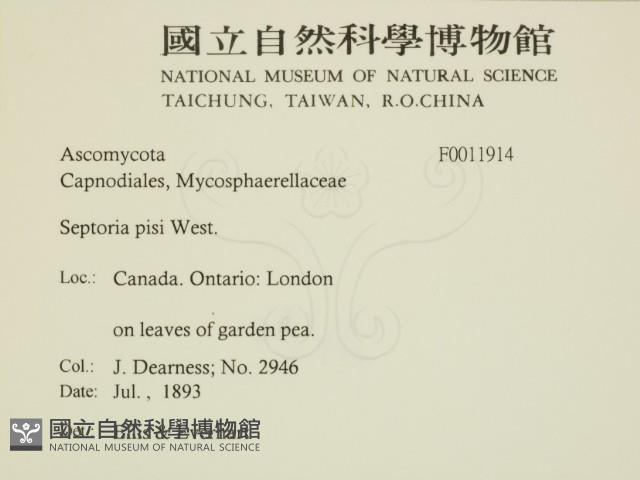 登錄號:F0011914藏品圖，第2張