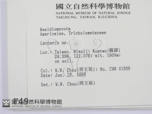 登錄號:F0004914藏品圖，第2張