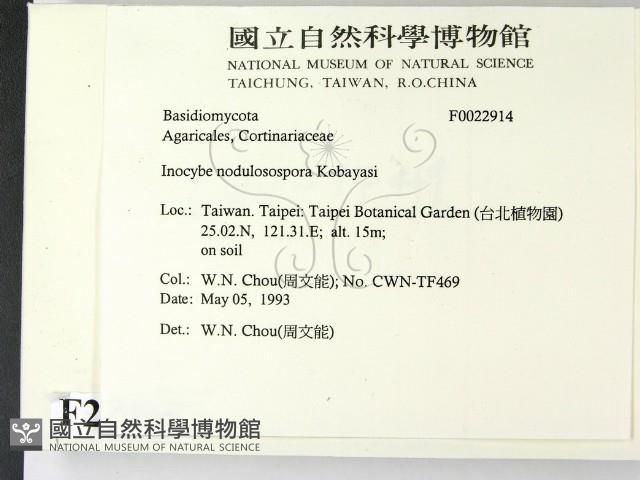 登錄號:F0022914藏品圖，第2張