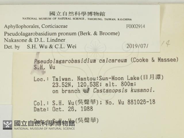 登錄號:F0002914藏品圖，第2張