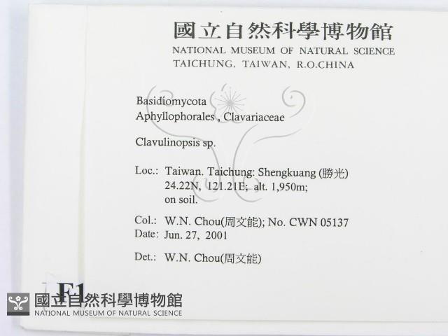 登錄號:F0015914藏品圖，第2張