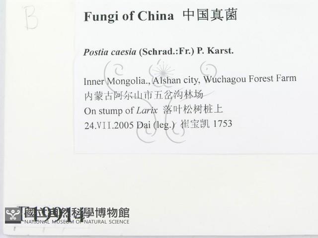 登錄號:F0019914藏品圖，第2張