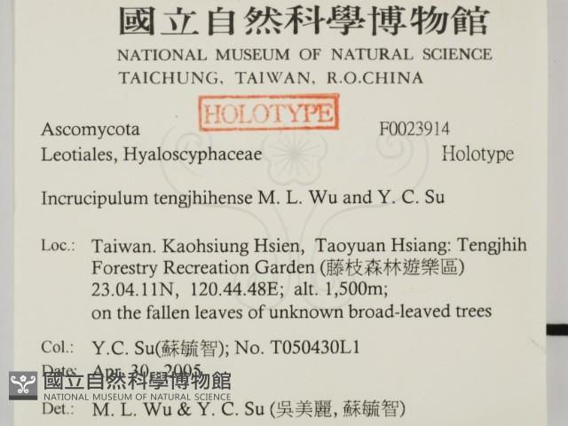 登錄號:F0023914藏品圖，第2張