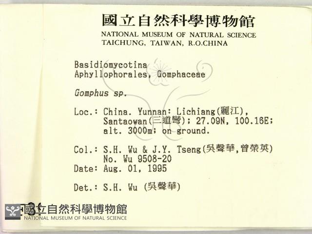 登錄號:F0003914藏品圖，第2張