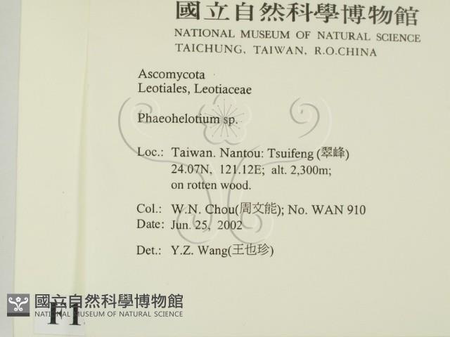 登錄號:F0013914藏品圖，第2張