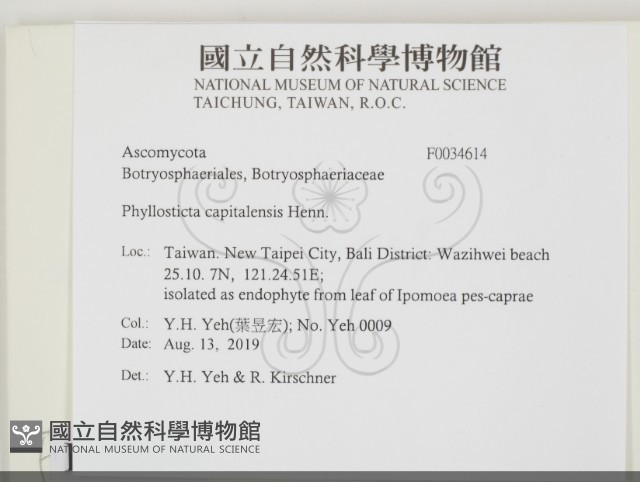 登錄號:F0034614藏品圖，第2張