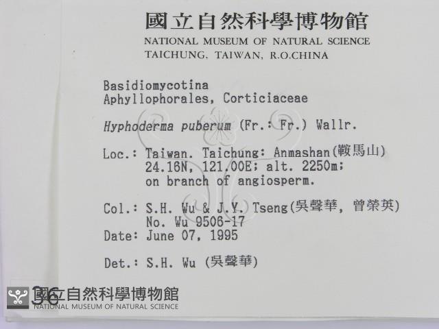 登錄號:F0003614藏品圖，第2張