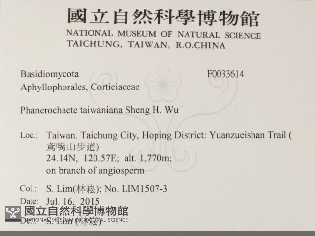 登錄號:F0033614藏品圖，第2張