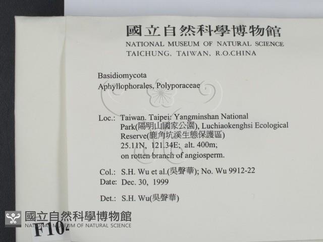 登錄號:F0010414藏品圖，第2張