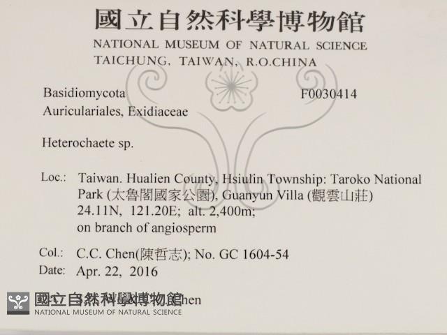 刺皮菌屬藏品圖，第2張