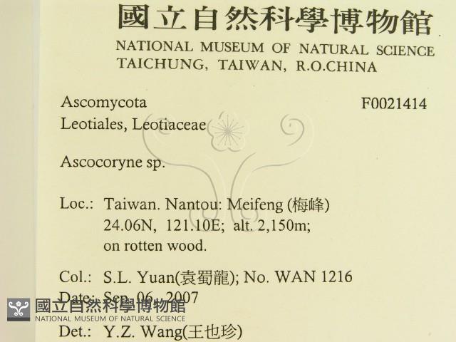 登錄號:F0021414藏品圖，第2張