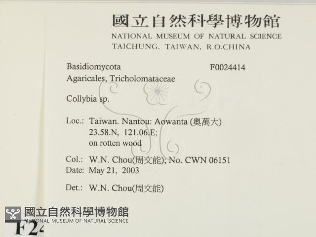 登錄號:F0024414藏品圖，第2張
