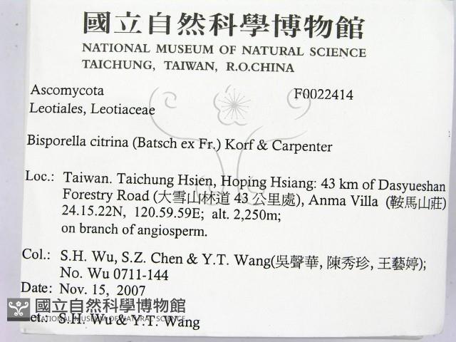 登錄號:F0022414藏品圖，第2張