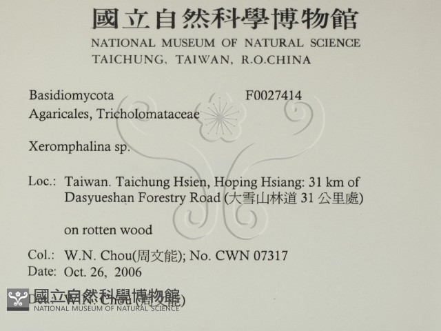 登錄號:F0027414藏品圖，第2張