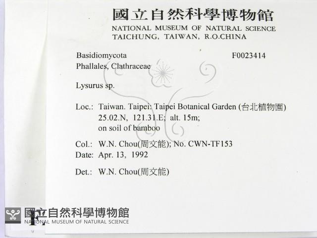 登錄號:F0023414藏品圖，第2張