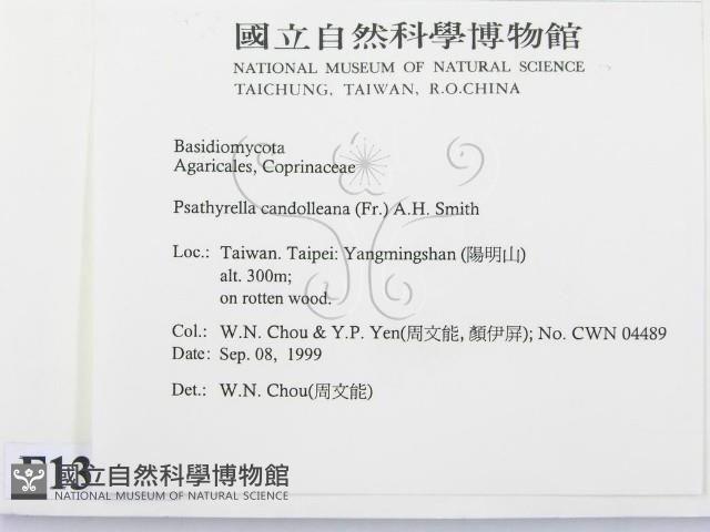 登錄號:F0013414藏品圖，第2張