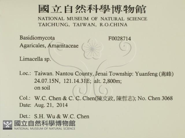 登錄號:F0028714藏品圖，第2張