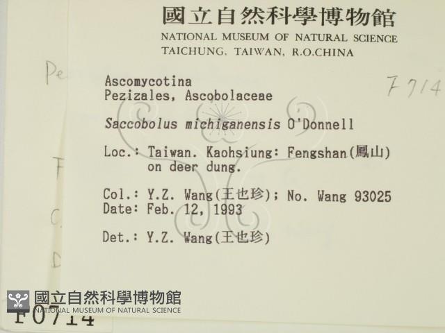 登錄號:F0000714藏品圖，第2張